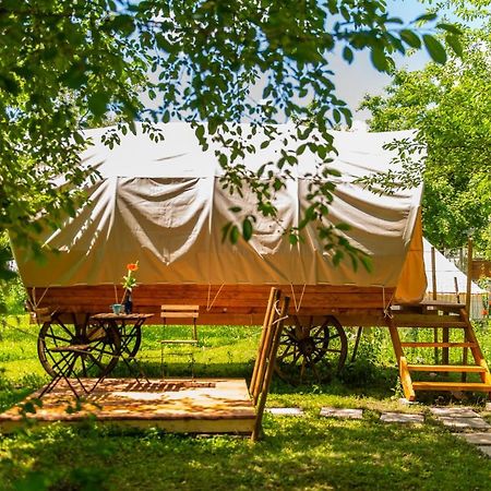Dragonfly Gardens - The Wagons Braşov Exterior foto