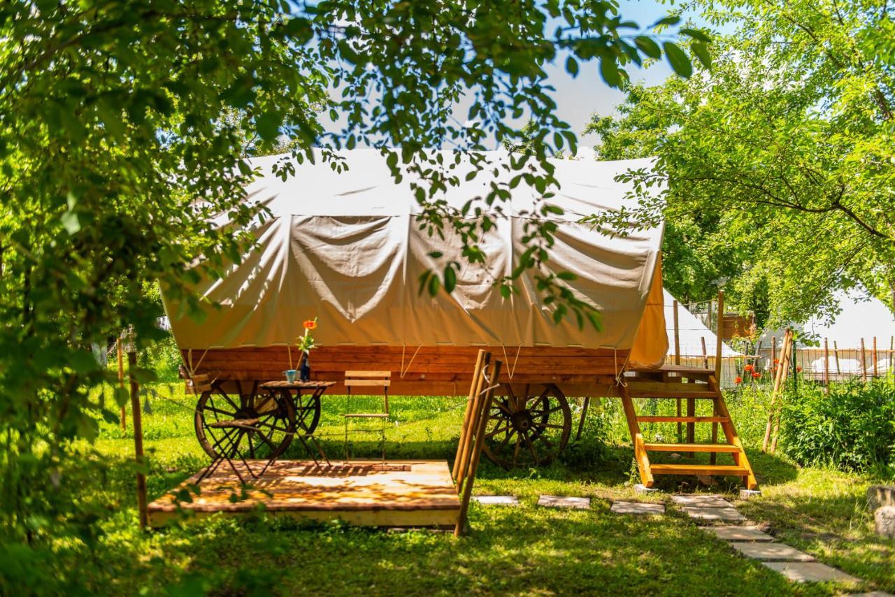 Dragonfly Gardens - The Wagons Braşov Exterior foto