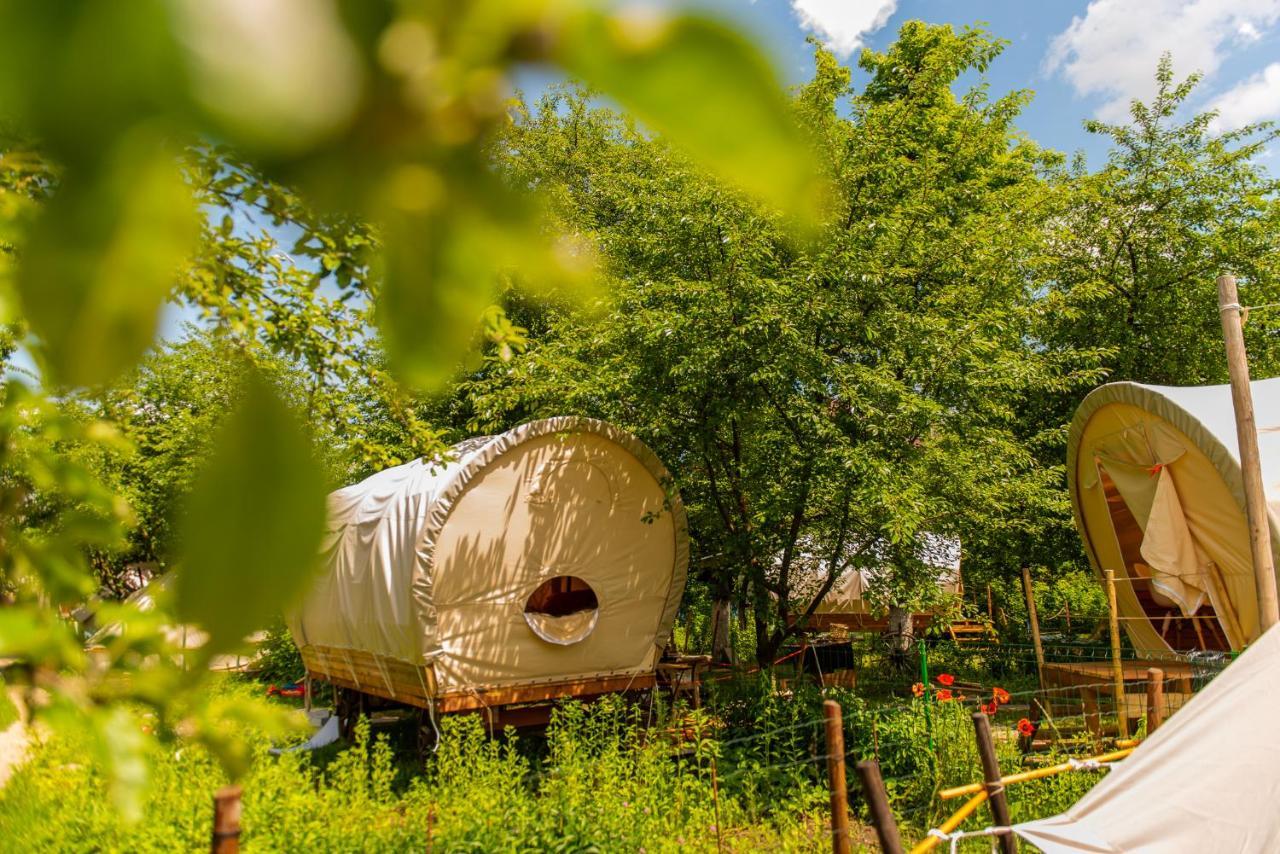 Dragonfly Gardens - The Wagons Braşov Exterior foto