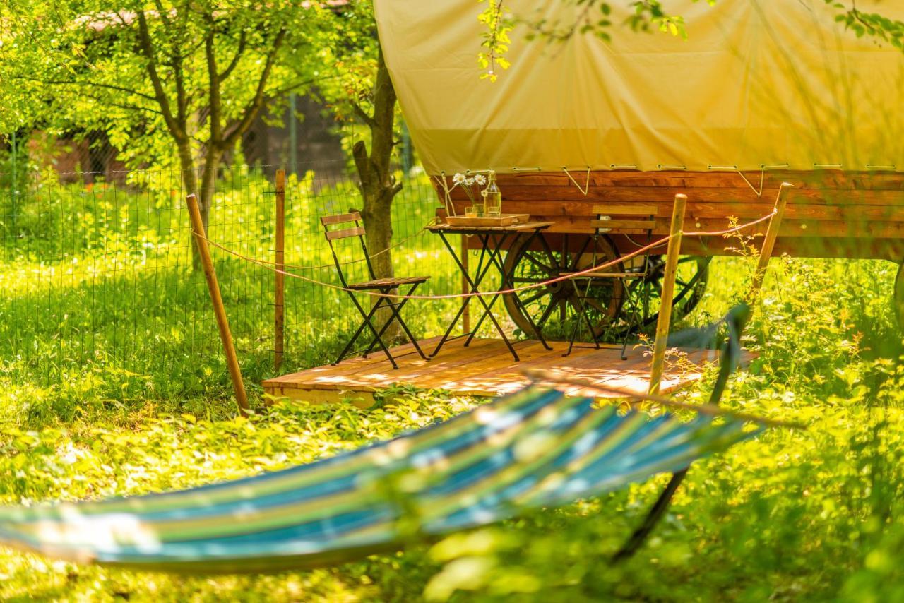 Dragonfly Gardens - The Wagons Braşov Exterior foto