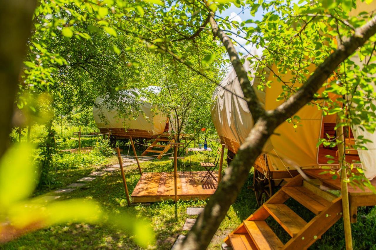 Dragonfly Gardens - The Wagons Braşov Exterior foto