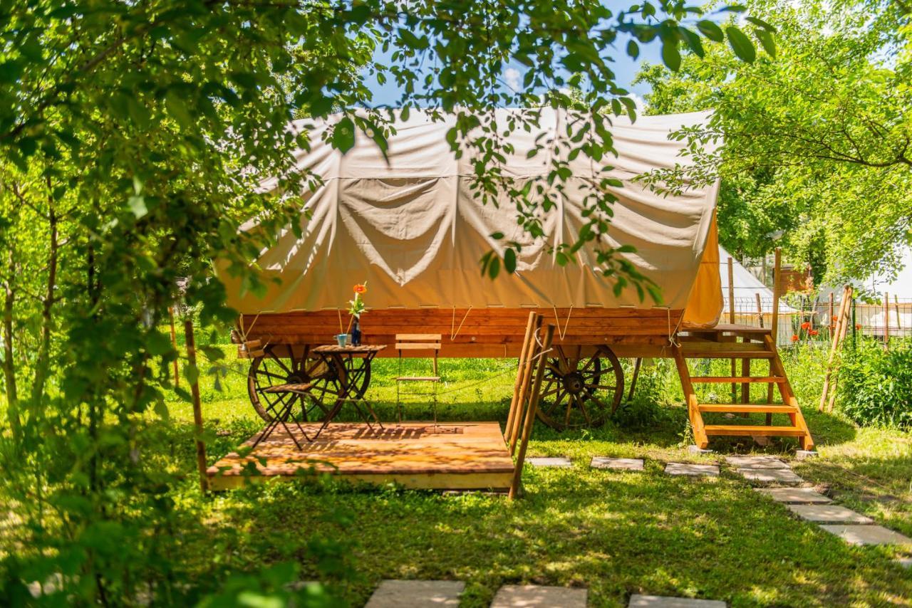 Dragonfly Gardens - The Wagons Braşov Exterior foto