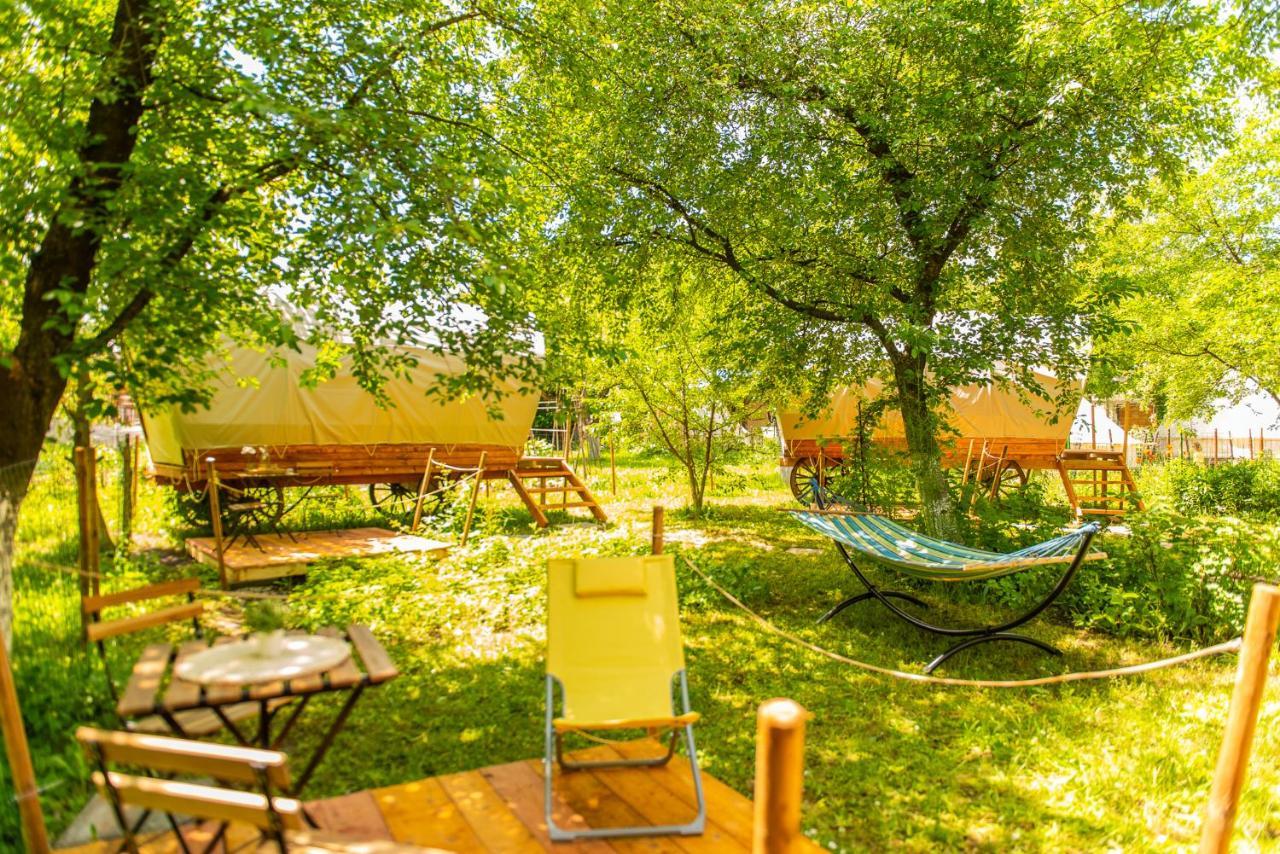Dragonfly Gardens - The Wagons Braşov Exterior foto