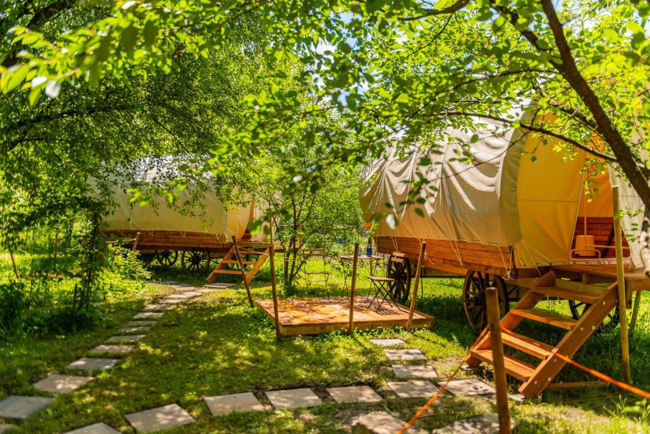 Dragonfly Gardens - The Wagons Braşov Exterior foto