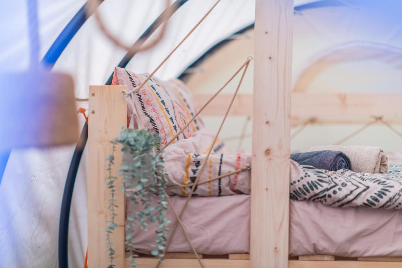 Dragonfly Gardens - The Wagons Braşov Exterior foto