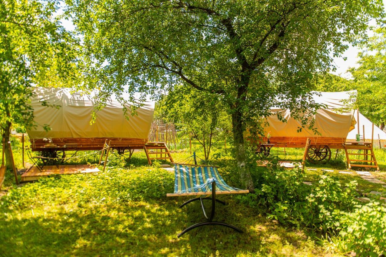 Dragonfly Gardens - The Wagons Braşov Exterior foto