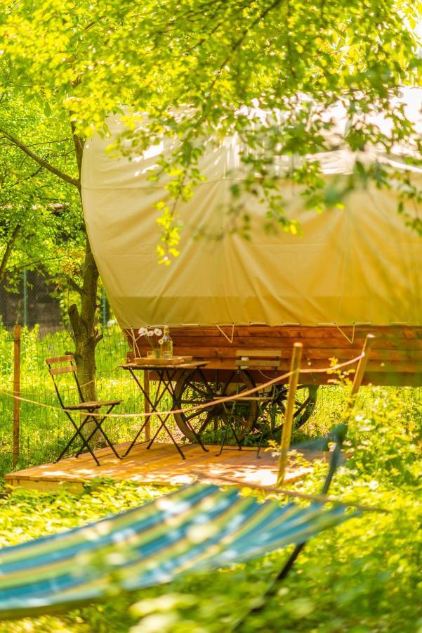Dragonfly Gardens - The Wagons Braşov Exterior foto