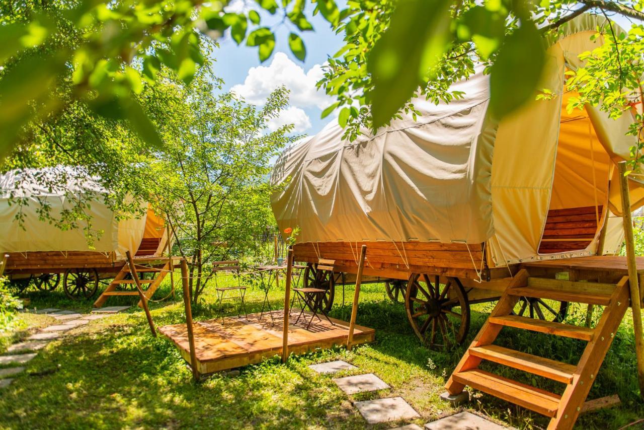 Dragonfly Gardens - The Wagons Braşov Exterior foto