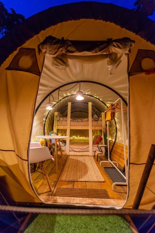 Dragonfly Gardens - The Wagons Braşov Exterior foto