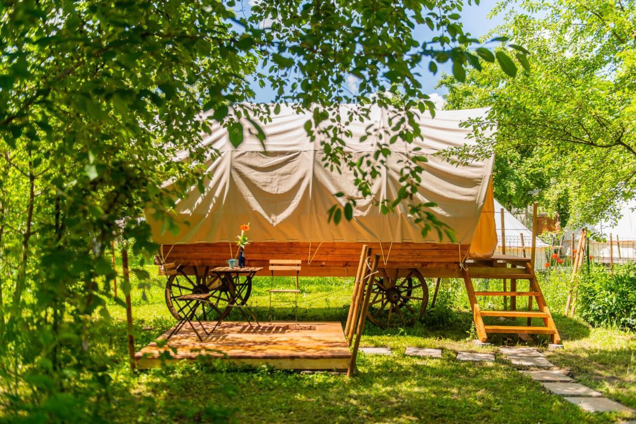 Dragonfly Gardens - The Wagons Braşov Exterior foto