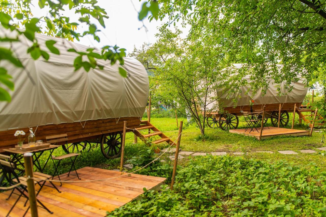 Dragonfly Gardens - The Wagons Braşov Exterior foto