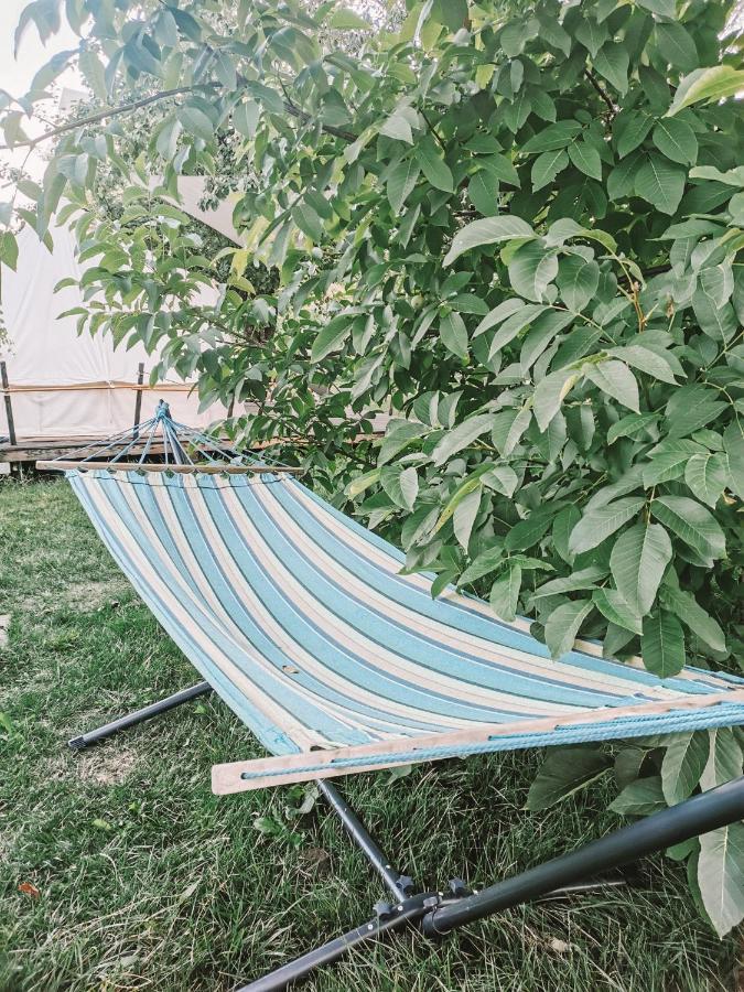 Dragonfly Gardens - The Wagons Braşov Exterior foto