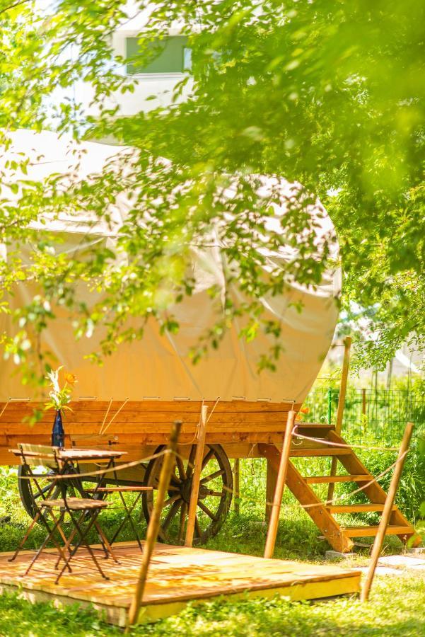 Dragonfly Gardens - The Wagons Braşov Exterior foto