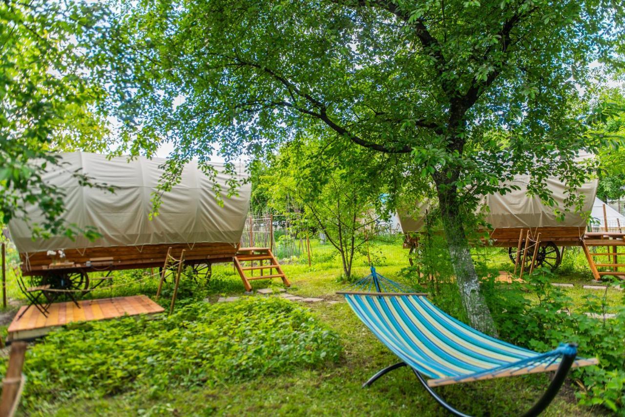 Dragonfly Gardens - The Wagons Braşov Exterior foto