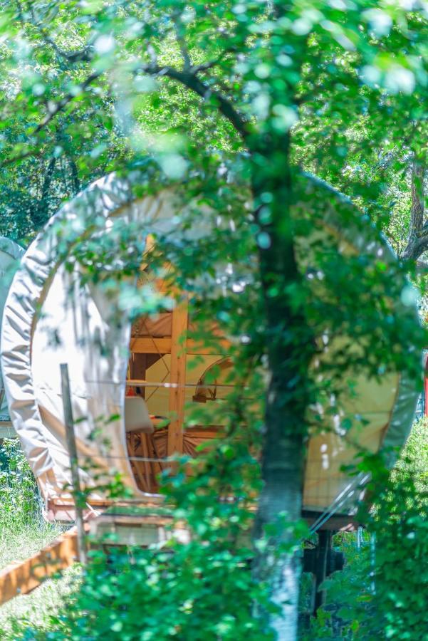 Dragonfly Gardens - The Wagons Braşov Exterior foto