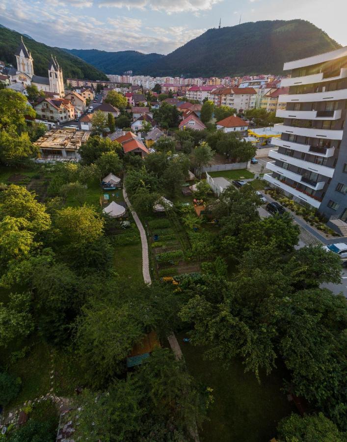 Dragonfly Gardens - The Wagons Braşov Exterior foto