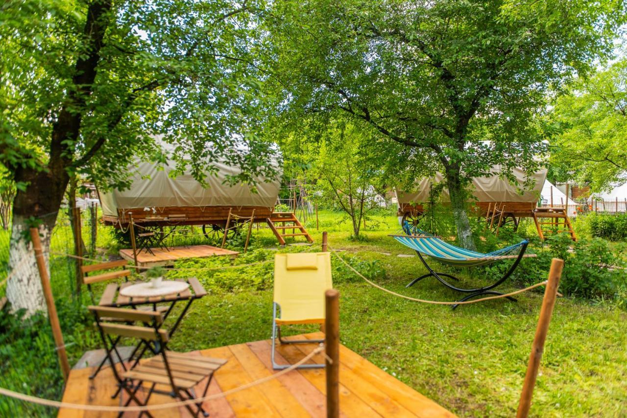 Dragonfly Gardens - The Wagons Braşov Exterior foto