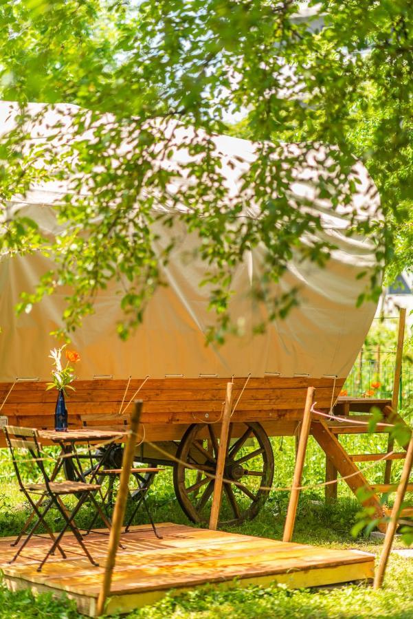 Dragonfly Gardens - The Wagons Braşov Exterior foto