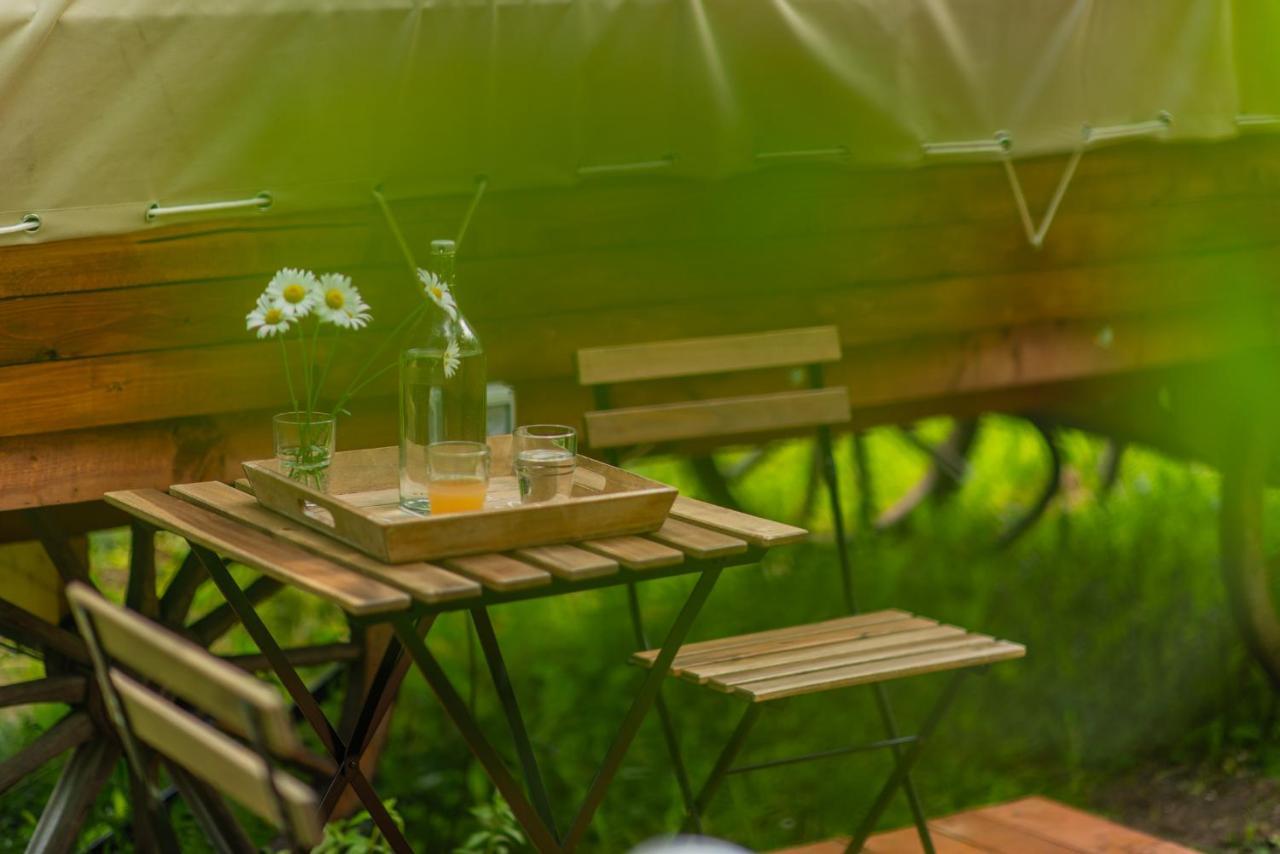 Dragonfly Gardens - The Wagons Braşov Exterior foto