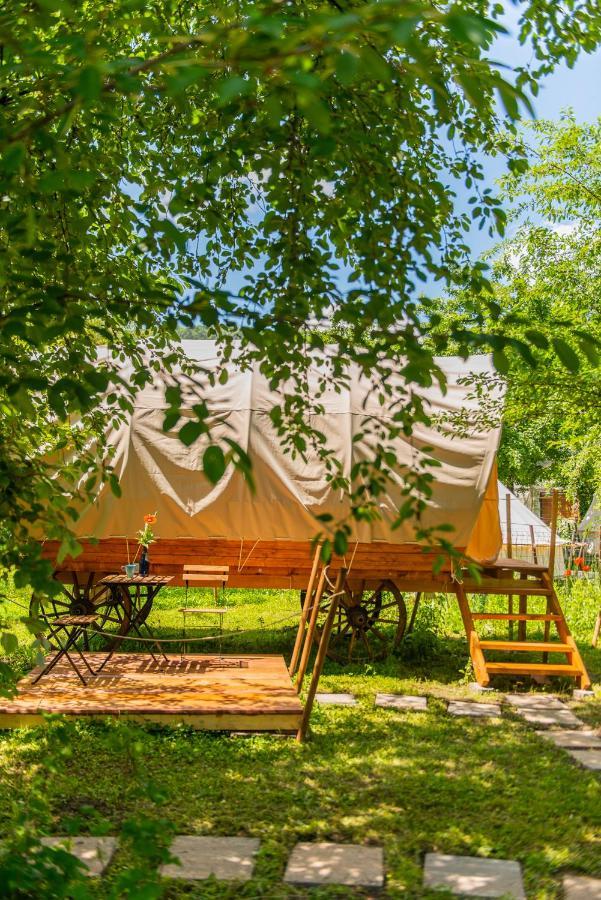 Dragonfly Gardens - The Wagons Braşov Exterior foto