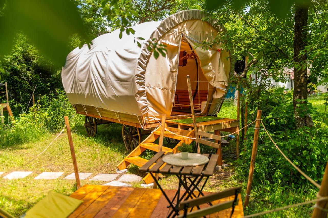 Dragonfly Gardens - The Wagons Braşov Exterior foto