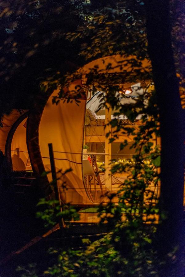 Dragonfly Gardens - The Wagons Braşov Exterior foto