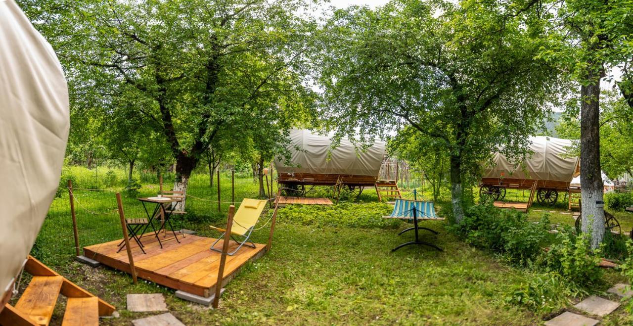 Dragonfly Gardens - The Wagons Braşov Exterior foto